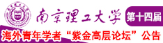 马道操逼南京理工大学第十四届海外青年学者紫金论坛诚邀海内外英才！